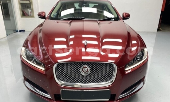 Acheter Occasion Voiture Jaguar XF Beige à Big Bend, Lubombo District Acheter Occasion Voiture Jaguar XF Beige à Big Bend, Lubombo District