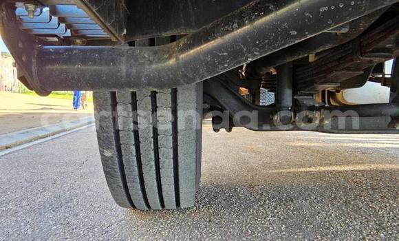 Buy Used Isuzu FTR 850 White Truck in Mbabane in Manzini Buy Used Isuzu FTR 850 White Truck in Mbabane in Manzini