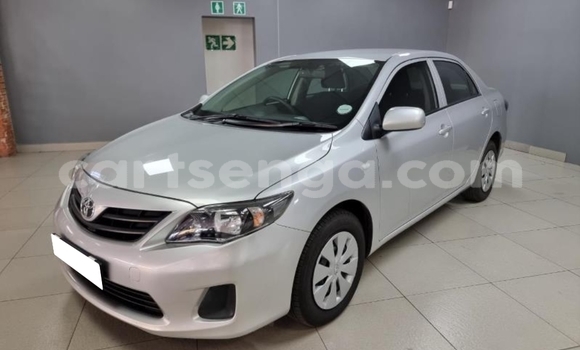 Buy Used Toyota Corolla Silver Car in Big Bend in Lubombo District Buy Used Toyota Corolla Silver Car in Big Bend in Lubombo District