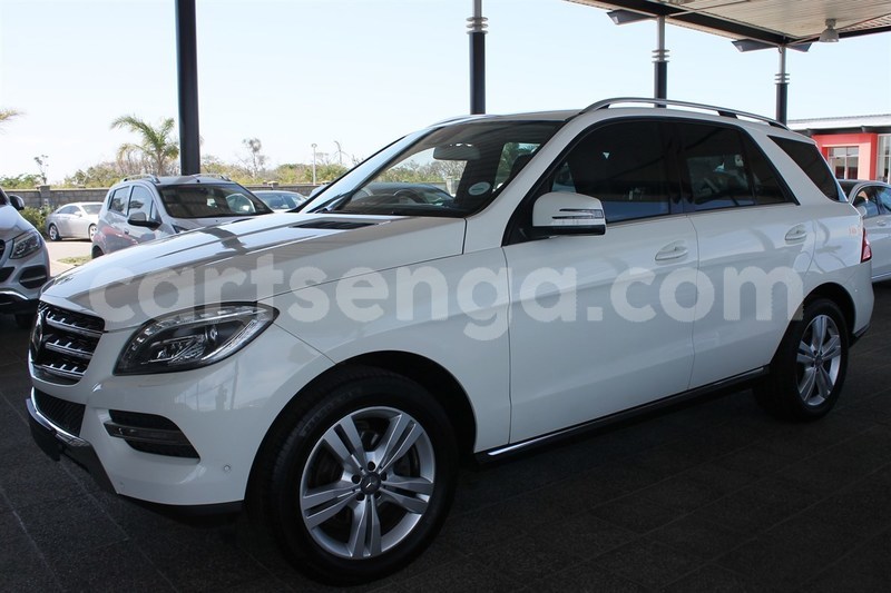 Big with watermark 1