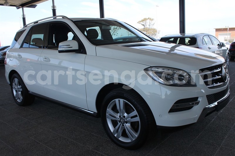 Big with watermark 2