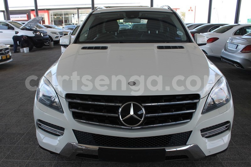 Big with watermark 3