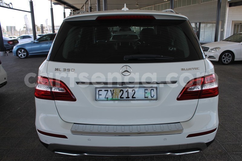 Big with watermark 4