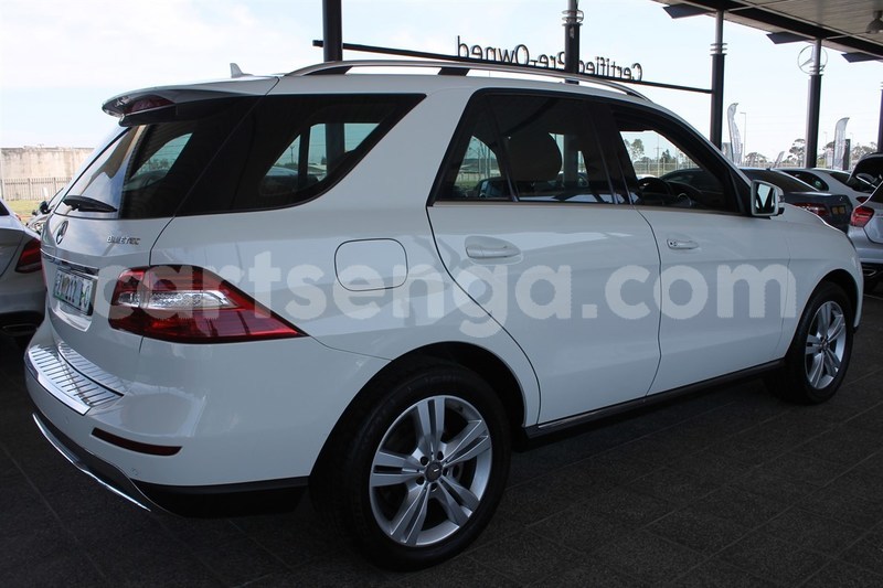 Big with watermark 5