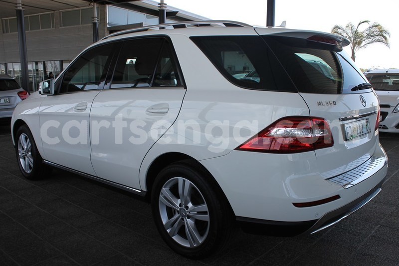 Big with watermark 6