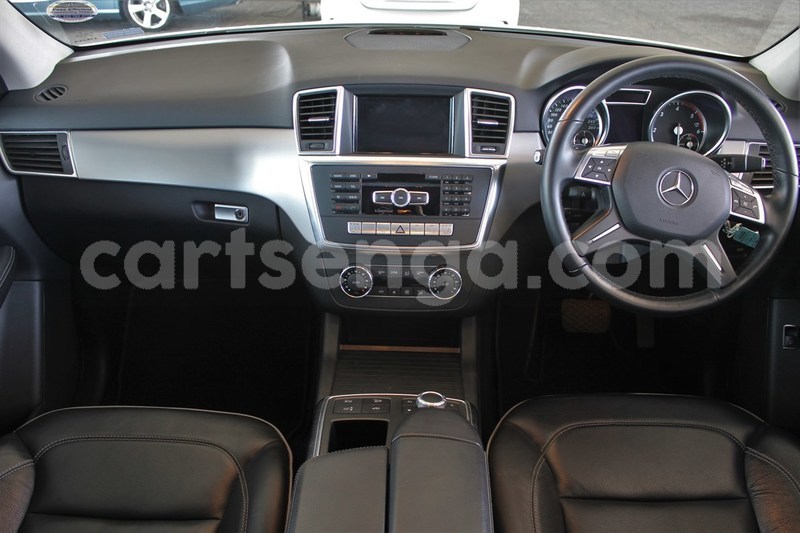 Big with watermark 7