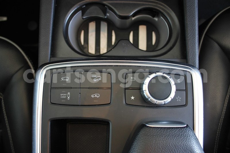 Big with watermark 8