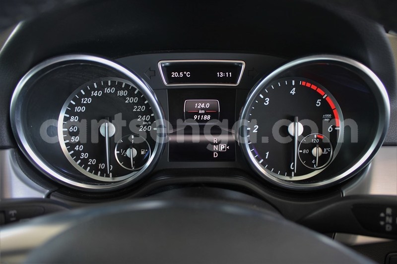 Big with watermark 11