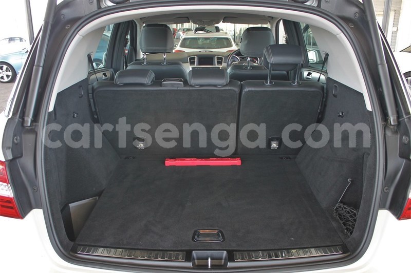 Big with watermark 12