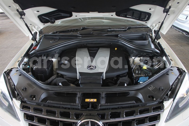 Big with watermark 13