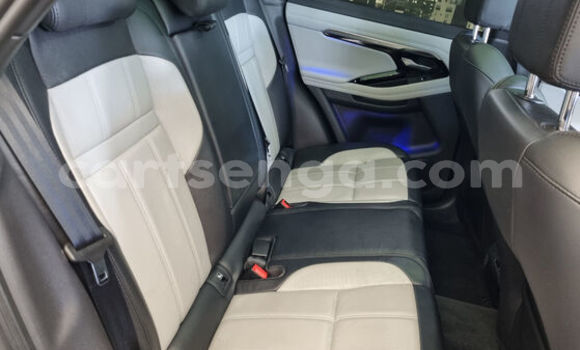 Buy Used Land Rover Range Rover Evoque White Car in Mbabane in Manzini Buy Used Land Rover Range Rover Evoque White Car in Mbabane in Manzini