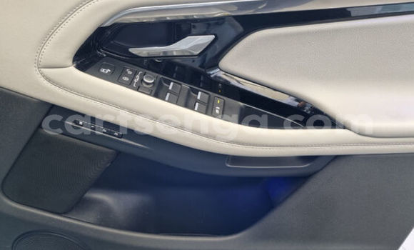 Buy Used Land Rover Range Rover Evoque White Car in Mbabane in Manzini Buy Used Land Rover Range Rover Evoque White Car in Mbabane in Manzini