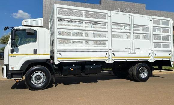 Buy Used Isuzu FTR 850 White Truck in Mbabane in Manzini Buy Used Isuzu FTR 850 White Truck in Mbabane in Manzini
