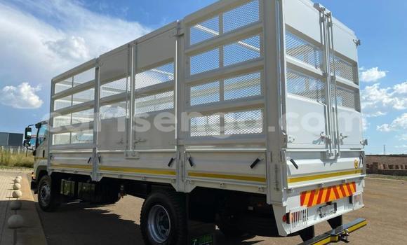 Buy Used Isuzu FTR 850 White Truck in Mbabane in Manzini Buy Used Isuzu FTR 850 White Truck in Mbabane in Manzini
