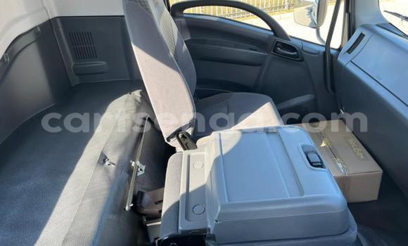 Buy Used Isuzu FTR 850 White Truck in Mbabane in Manzini Buy Used Isuzu FTR 850 White Truck in Mbabane in Manzini