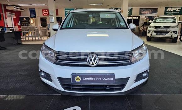 Buy Used Volkswagen Tiguan White Car in Mbabane in Manzini Buy Used Volkswagen Tiguan White Car in Mbabane in Manzini