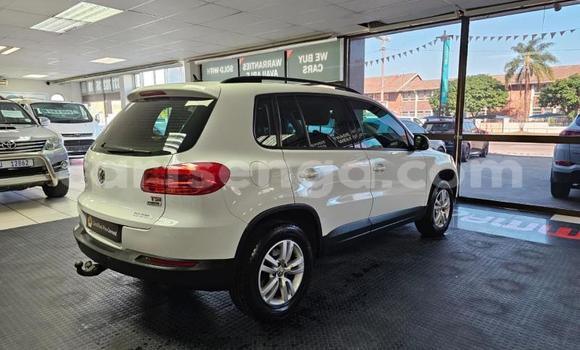 Buy Used Volkswagen Tiguan White Car in Mbabane in Manzini Buy Used Volkswagen Tiguan White Car in Mbabane in Manzini
