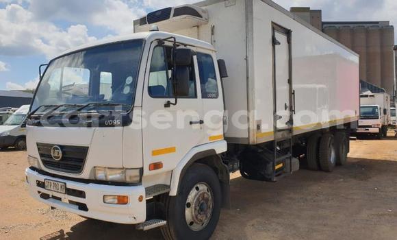 Buy Used Nissan UD White Truck in Big Bend in Lubombo District