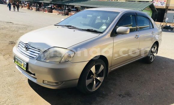 Buy Used Toyota Corolla Other Car in Mbabane in Manzini Buy Used Toyota Corolla Other Car in Mbabane in Manzini