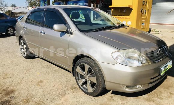 Buy Used Toyota Corolla Other Car in Mbabane in Manzini Buy Used Toyota Corolla Other Car in Mbabane in Manzini