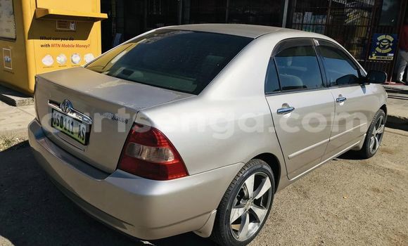 Buy Used Toyota Corolla Other Car in Mbabane in Manzini Buy Used Toyota Corolla Other Car in Mbabane in Manzini