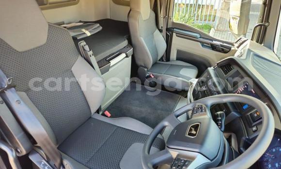 Acheter Occasion Utilitaire Man Silent Blanc à Mbabane, Manzini Acheter Occasion Utilitaire Man Silent Blanc à Mbabane, Manzini