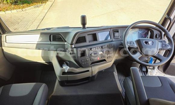 Acheter Occasion Utilitaire Man Silent Blanc à Mbabane, Manzini Acheter Occasion Utilitaire Man Silent Blanc à Mbabane, Manzini