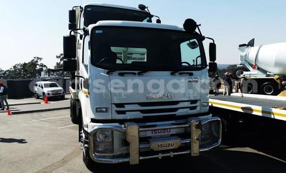 Acheter Occasion Utilitaire Isuzu FTR 850 Blanc à Mbabane, Manzini Acheter Occasion Utilitaire Isuzu FTR 850 Blanc à Mbabane, Manzini
