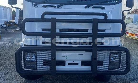 Acheter Occasion Utilitaire Isuzu FTR 850 Blanc à Mbabane, Manzini Acheter Occasion Utilitaire Isuzu FTR 850 Blanc à Mbabane, Manzini