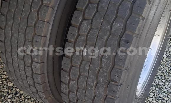 Acheter Occasion Utilitaire Isuzu FTR 850 Blanc à Mbabane, Manzini Acheter Occasion Utilitaire Isuzu FTR 850 Blanc à Mbabane, Manzini