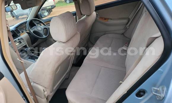 Buy Used Toyota Runx Other Car in Lobamba in Manzini Buy Used Toyota Runx Other Car in Lobamba in Manzini