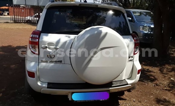 Nunua Ilio tumika Toyota RAV4 White Gari ndani ya Kwaluseni nchini Manzini Nunua Ilio tumika Toyota RAV4 White Gari ndani ya Kwaluseni nchini Manzini