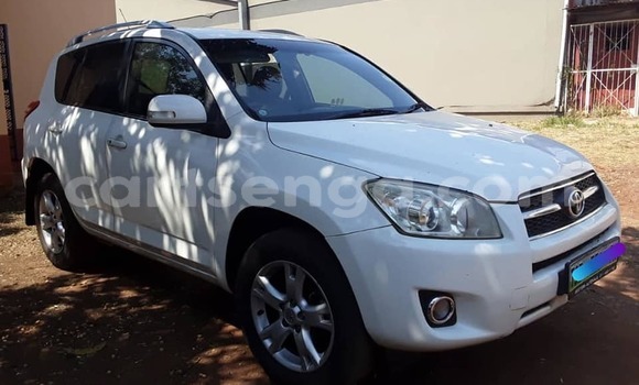 Nunua Ilio tumika Toyota RAV4 White Gari ndani ya Kwaluseni nchini Manzini Nunua Ilio tumika Toyota RAV4 White Gari ndani ya Kwaluseni nchini Manzini
