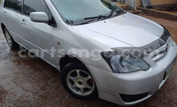 Buy Used Toyota Runx Other Car in Kwaluseni in Manzini
