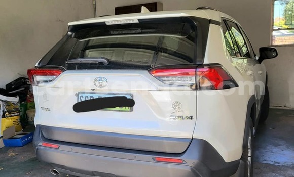 Buy Used Toyota RAV4 White Car in Kwaluseni in Manzini Buy Used Toyota RAV4 White Car in Kwaluseni in Manzini