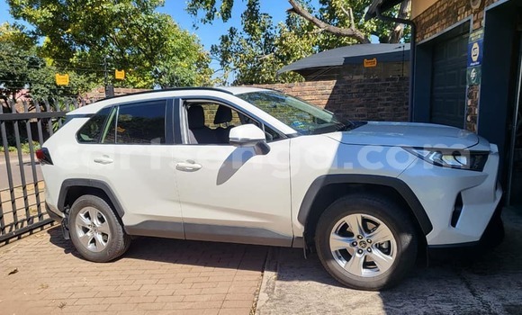 Buy Used Toyota RAV4 White Car in Kwaluseni in Manzini Buy Used Toyota RAV4 White Car in Kwaluseni in Manzini