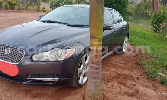 Nunua Ilio tumika Jaguar F-Type Black Gari ndani ya Kwaluseni nchini Manzini