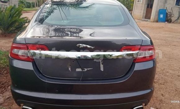 Buy Used Jaguar F-Type Black Car in Kwaluseni in Manzini Buy Used Jaguar F-Type Black Car in Kwaluseni in Manzini