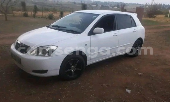 Buy Used Toyota Runx Other Car in Kwaluseni in Manzini Buy Used Toyota Runx Other Car in Kwaluseni in Manzini