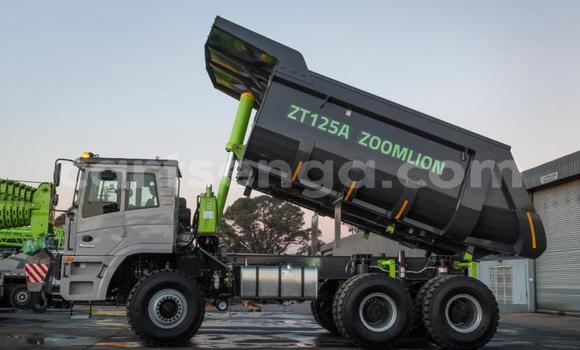 Buy Used Caterpillar 120 Black Truck in Mbabane in Manzini