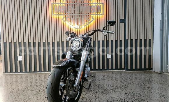 Buy Used Harley Davidson Softail Black Bike in Mbabane in Manzini Buy Used Harley Davidson Softail Black Bike in Mbabane in Manzini