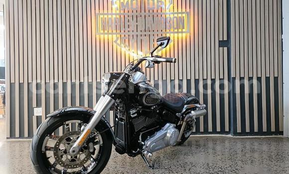 Buy Used Harley Davidson Softail Black Bike in Mbabane in Manzini Buy Used Harley Davidson Softail Black Bike in Mbabane in Manzini