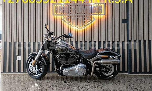 Buy Used Harley Davidson Softail Black Bike in Mbabane in Manzini Buy Used Harley Davidson Softail Black Bike in Mbabane in Manzini