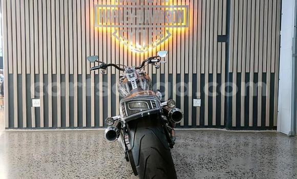 Buy Used Harley Davidson Softail Black Bike in Mbabane in Manzini Buy Used Harley Davidson Softail Black Bike in Mbabane in Manzini