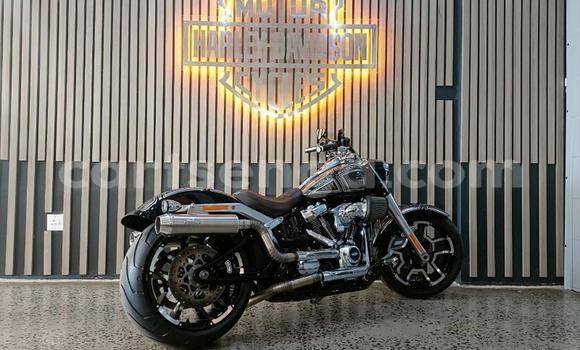Buy Used Harley Davidson Softail Black Bike in Mbabane in Manzini Buy Used Harley Davidson Softail Black Bike in Mbabane in Manzini