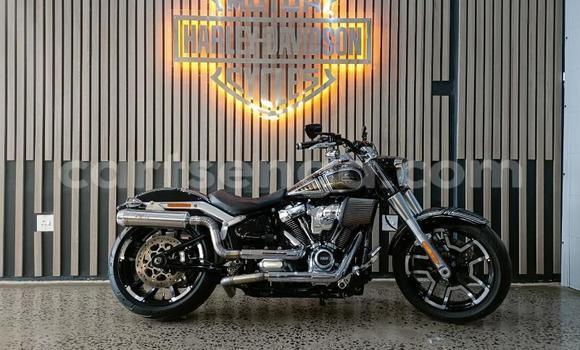 Buy Used Harley Davidson Softail Black Bike in Mbabane in Manzini Buy Used Harley Davidson Softail Black Bike in Mbabane in Manzini