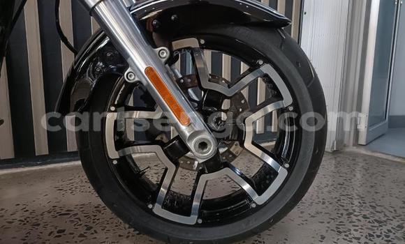 Buy Used Harley Davidson Softail Black Bike in Mbabane in Manzini Buy Used Harley Davidson Softail Black Bike in Mbabane in Manzini