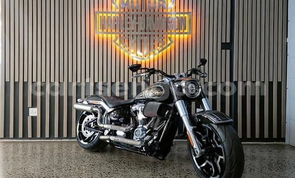 Buy Used Harley Davidson Softail Black Bike in Mbabane in Manzini Buy Used Harley Davidson Softail Black Bike in Mbabane in Manzini