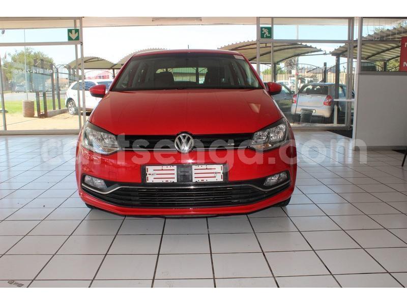 Big with watermark 800 74 