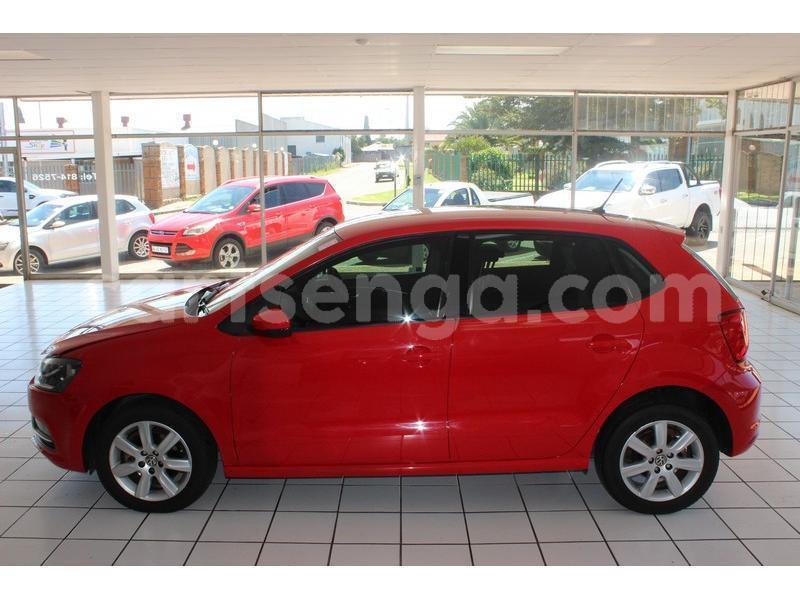 Big with watermark 800 75 